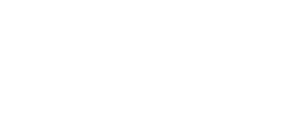 Stinson Vineyards logo