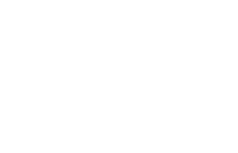 Patch Brewery logo