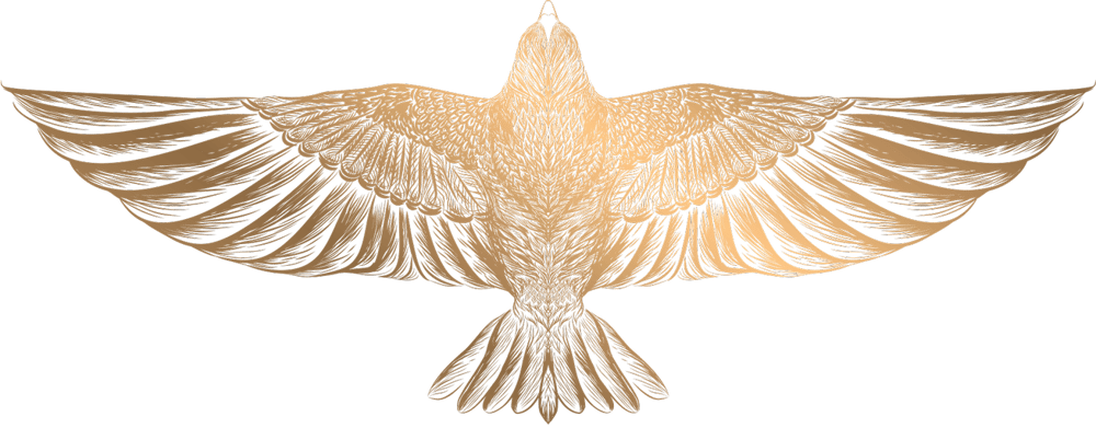 Montifalco Vineyard logo