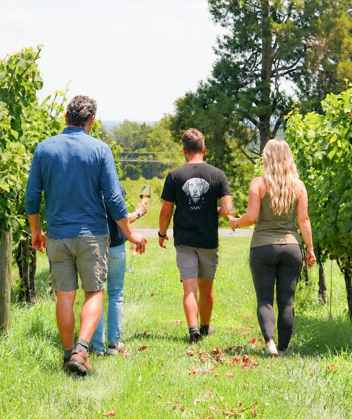Guest Star Hike Experience