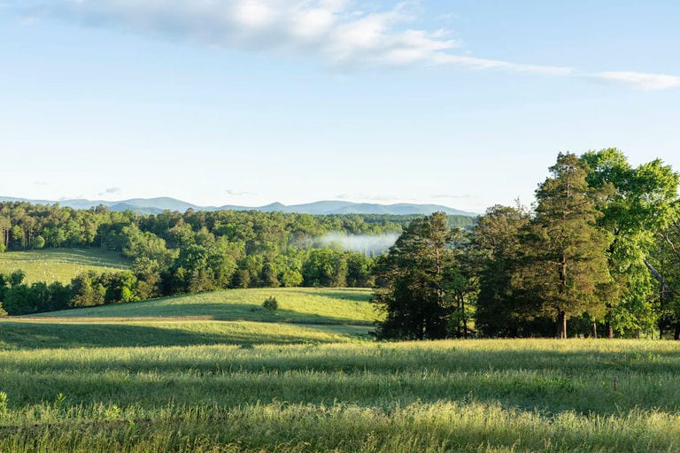 Guided Farm & Vineyard Walk