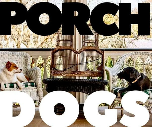 Live Music: Porch Dogs