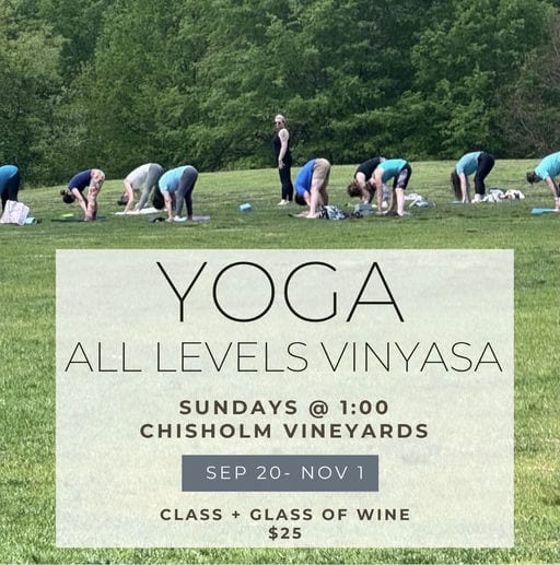 Vinyasa Yoga