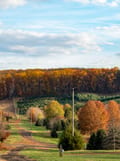 Lecture: Fall Color at Grelen (Free) at The Market at Grelen