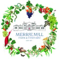 Sunday Jazz and Blues featuring Whiskey Django at Merrie Mill Farm & Vineyard