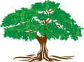 Live Music: Tidewater Valley at Brewing Tree Beer Company