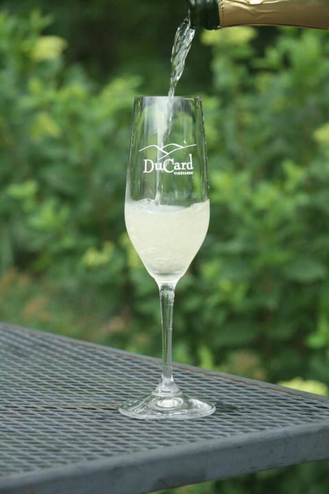 Armchair Expedition - Sparkling Wine at Ducard