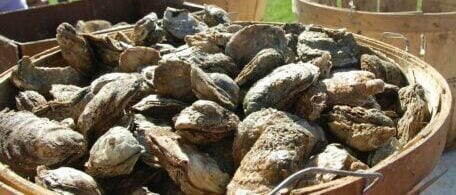 Fall Seafood Saturday at DuCard