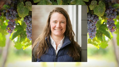 Harvest Nights at the Collective + Winemaker Pop-Up: Joy Ting at Virginia Wine Collective