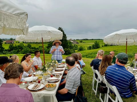 Harvest Tour & Winemaker Lunch