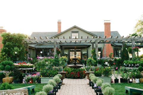 Pumpkin Decorating Workshop