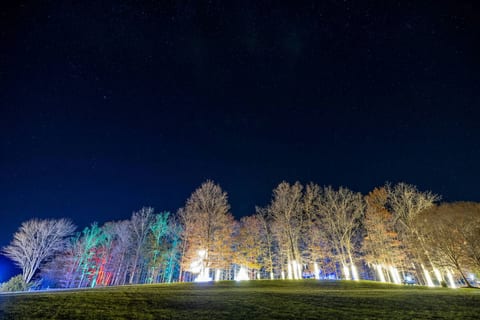 Veritas Illuminated — Walking Trail of Lights
