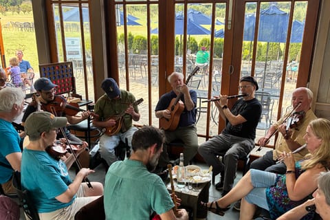 Irish Music: Aaron Olwell & Friends