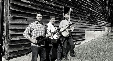 Cider & Strings: An Afternoon with Hogweed