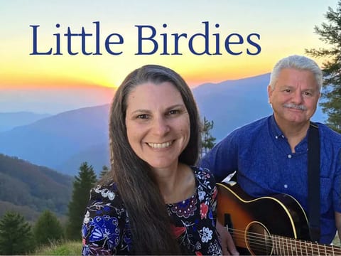 Music on the Deck: The Little Birdies