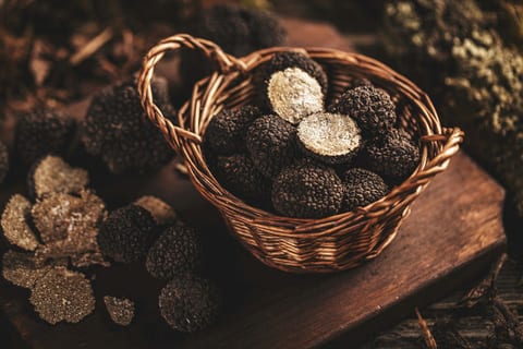 Truffle Lunch