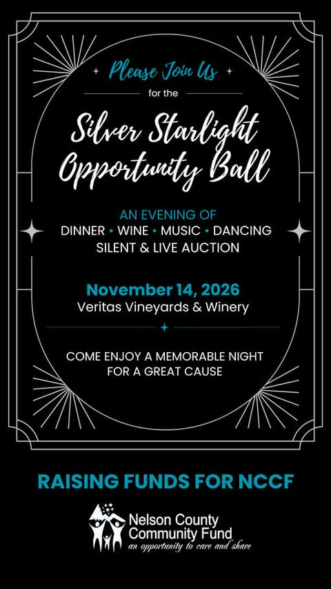 Silver Starlight Opportunity Ball