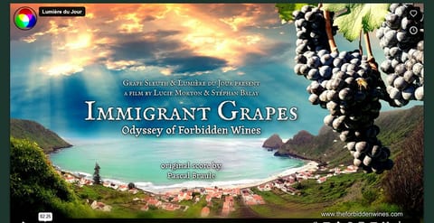 Special Private Screening: Immigrant Grapes: Odyssey of Forbidden Wines by Lucie Morton at Ducard