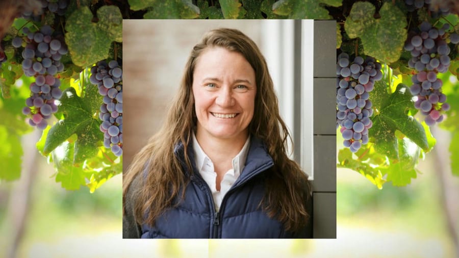 Harvest Nights at the Collective + Winemaker Pop-Up: Joy Ting at Virginia Wine Collective
