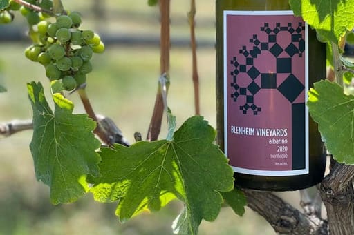 A bottle of Blenheim Vineyards Albariño among the vines and grape clusters