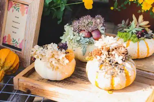 White pumpkins topped with succulents and dried flowers on a potting bench