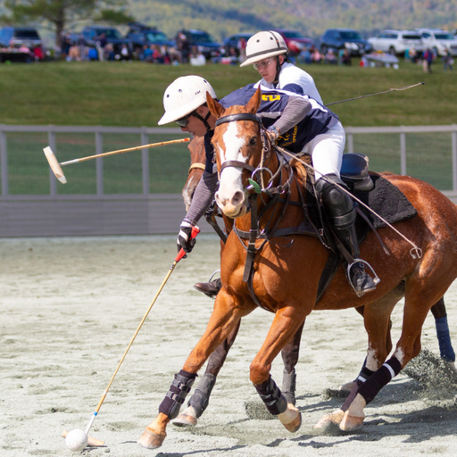 USPA National Sherman Memorial Polo