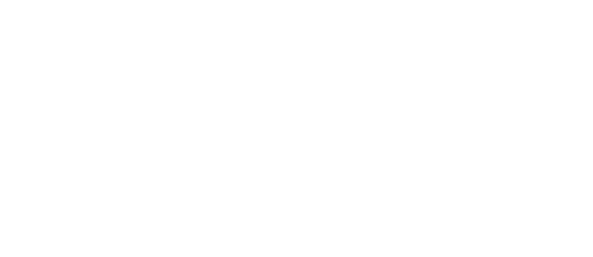 Stinson Vineyards logo