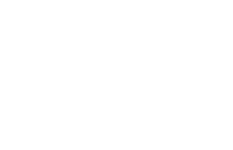 Patch Brewery logo